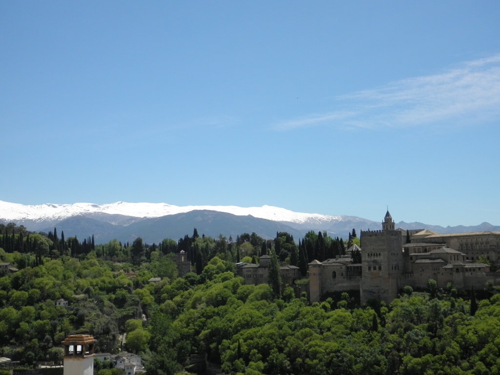 A view of the Alhambra from the mosque garden